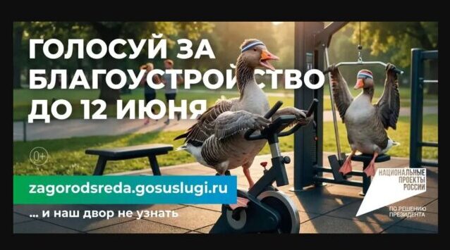 Стартовало голосование за объекты благоустройства: как россияне меняют свои города