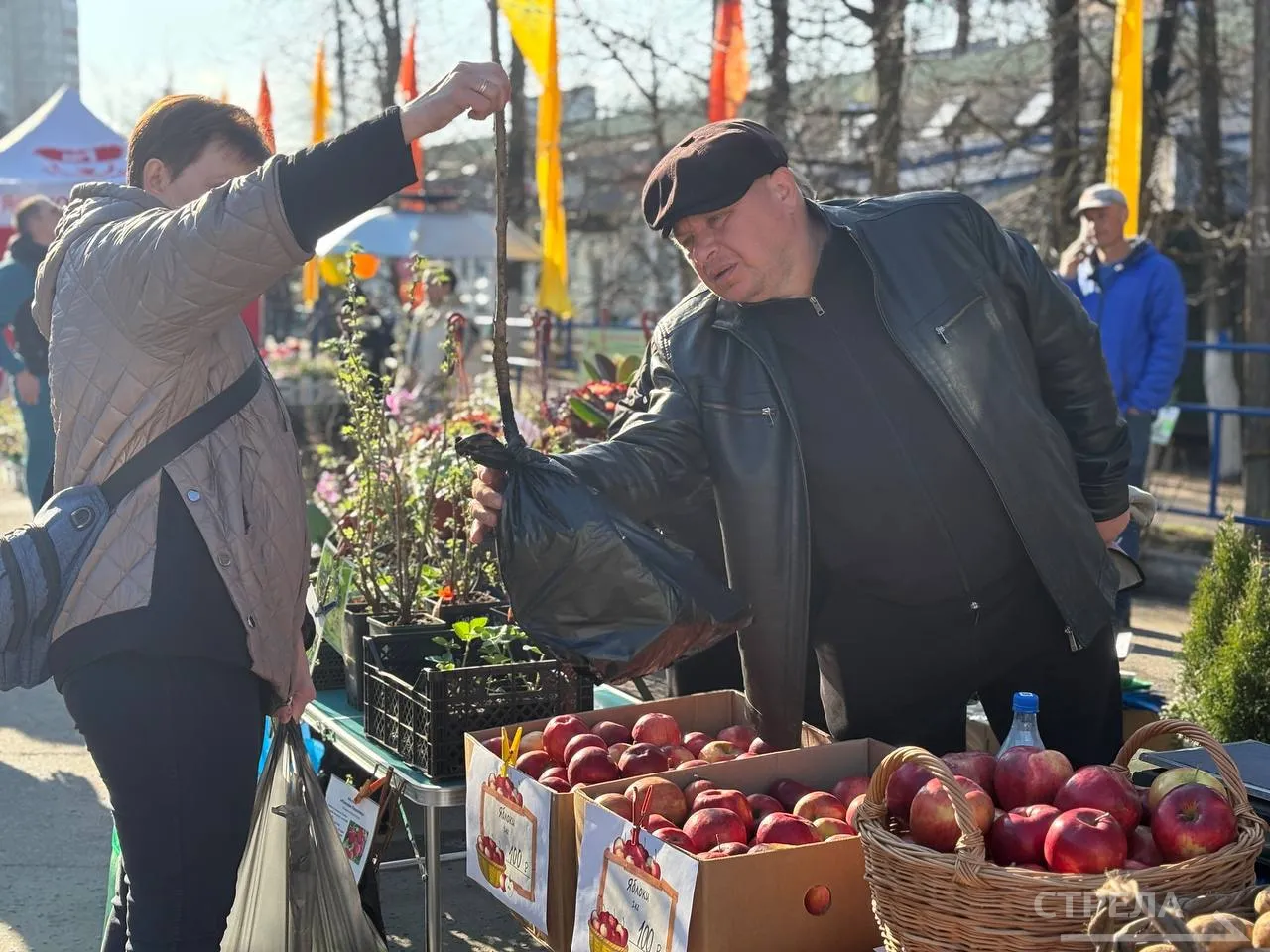 В Брянске открылась первая ярмарка выходного дня