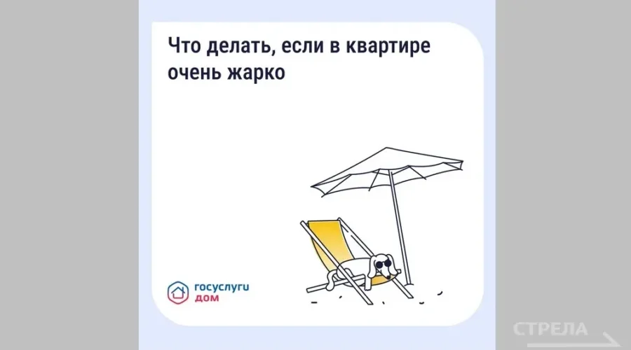 Брянцам сообщили об обновленном сервисе «Госуслуги Дом»