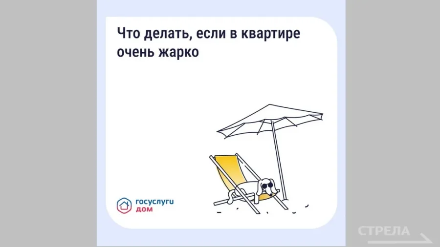 Брянцам сообщили об обновленном сервисе «Госуслуги Дом»