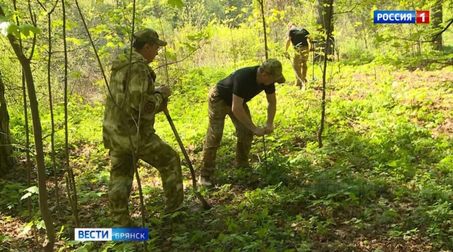 Поисковые отряды обследуют урочище «Лесные сараи» вблизи Брянска