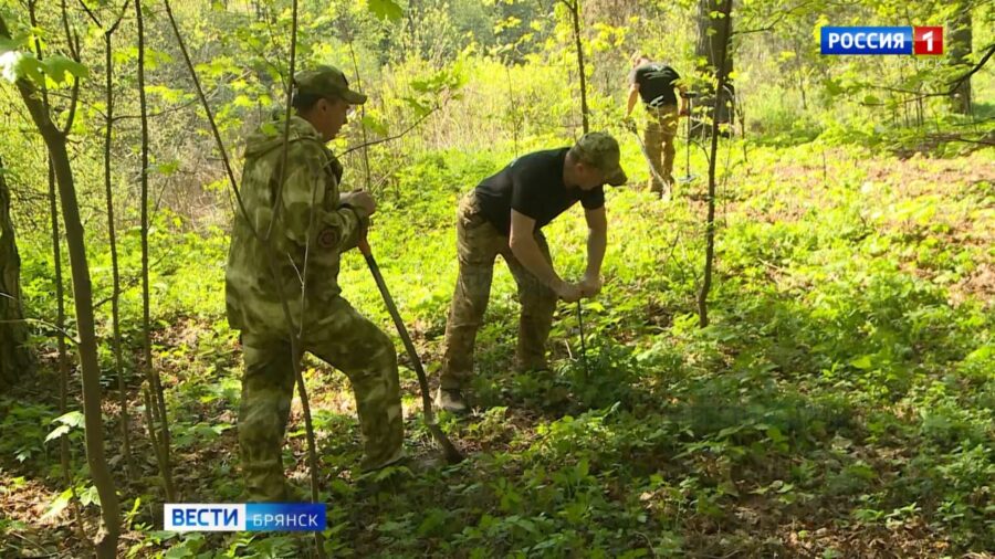 Поисковые отряды обследуют урочище «Лесные сараи» вблизи Брянска