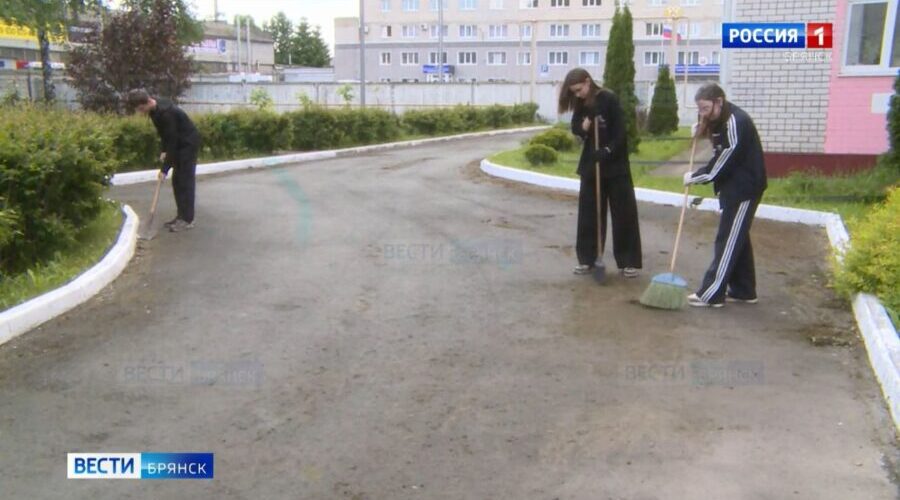 В Брянском регионе на лето трудоустроят около 800 школьников и студентов