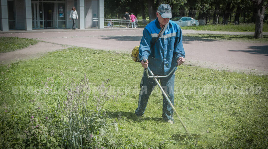 За выходные в Брянске скосили более 115 тысяч квадратных метров травы