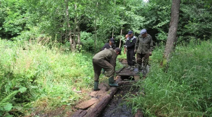 В Брянской области благоустраивают зону отдыха у родника «Три колодца»