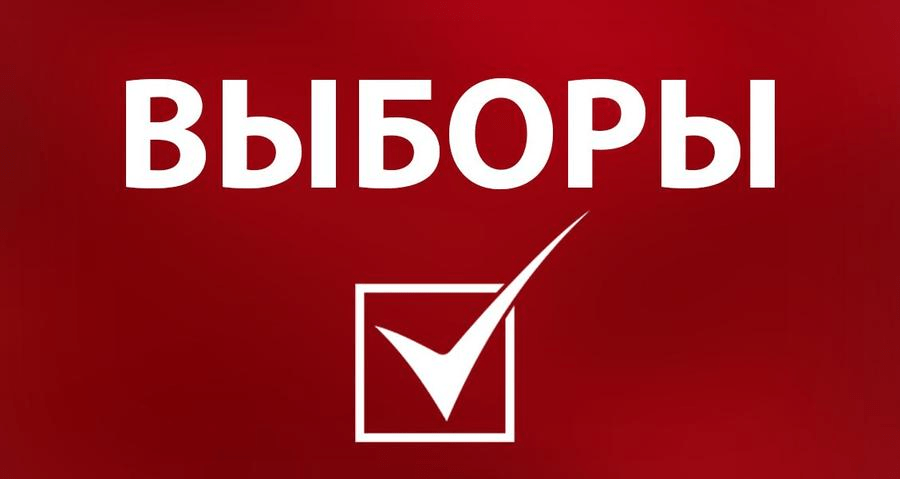 Выборы депутатов Брянской областной Думы восьмого созыва