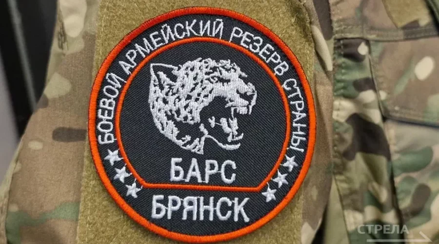 Бойцам отряда «БАРС-Брянск» вручили удостоверения ветерана боевых действий