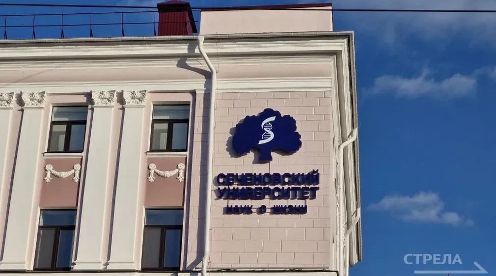 На бюджет в брянскую Сеченовку поступили 128 человек