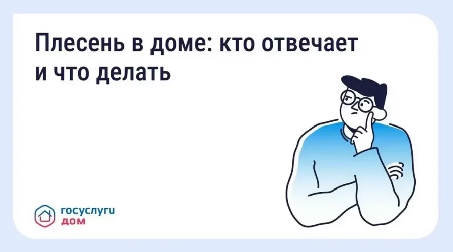 Жителям Брянска объяснили, как избавиться от плесени в квартире